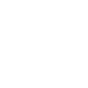 pire-logo